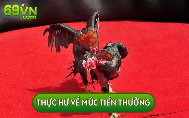 Đến nay thực hư về TRẬN GÀ 24 TỶ vẫn được nhiều người bàn tán