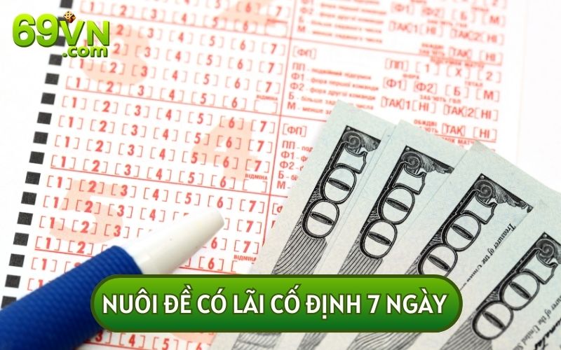 KINH NGHIỆM NUÔI ĐỀ theo khung 7 ngày sẽ giúp bạn thu về một mức lãi cố định