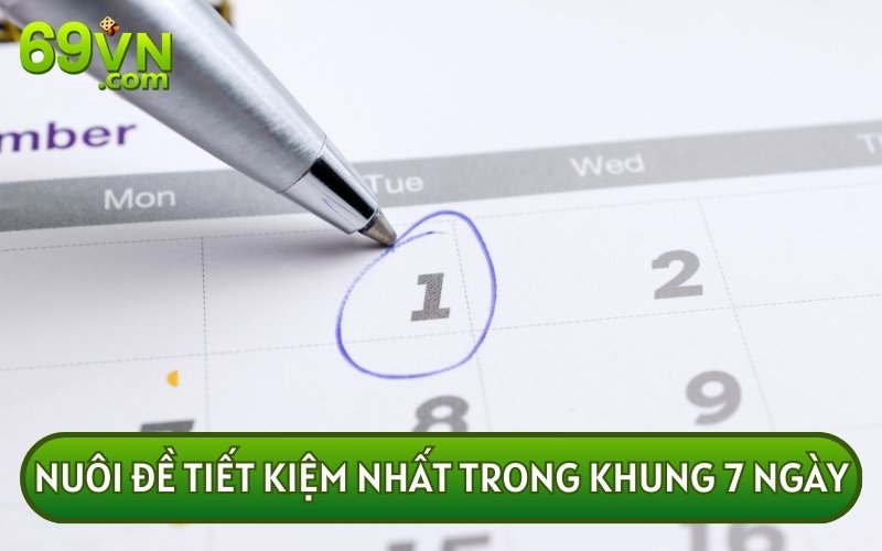 Khung 7 ngày khác với khung 2,3,4 ngày bởi nó sẽ giúp bạn thu về mức lợi nhuận lớn