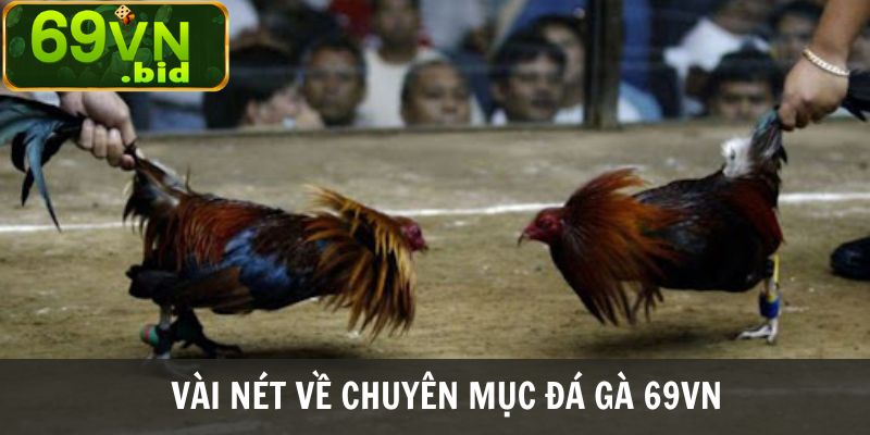 Vài nét về chuyên mục đá gà 69VN